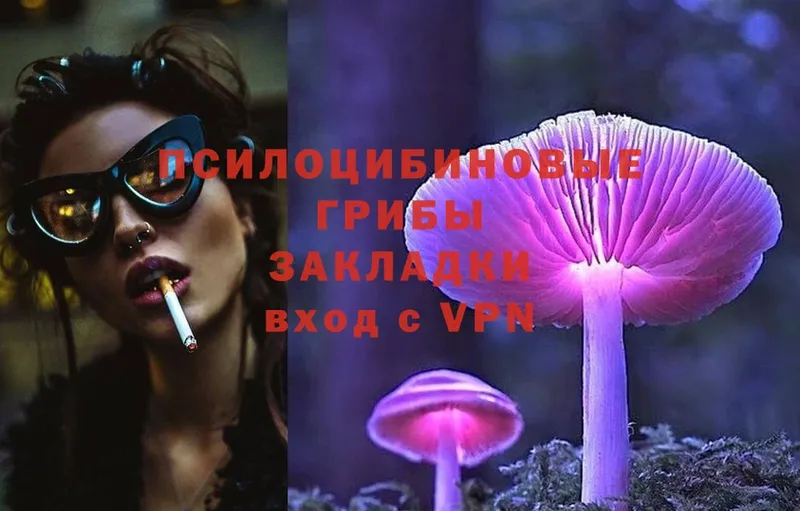 Псилоцибиновые грибы Magic Shrooms  Барыш 